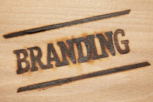 Branding Services by Techmax: Elevate Your Brand Identity
