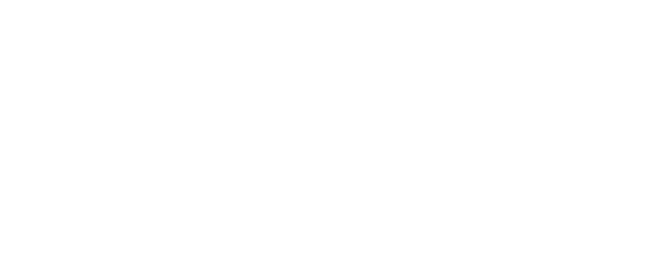 Fiscally Fabulous Logo_Trans White